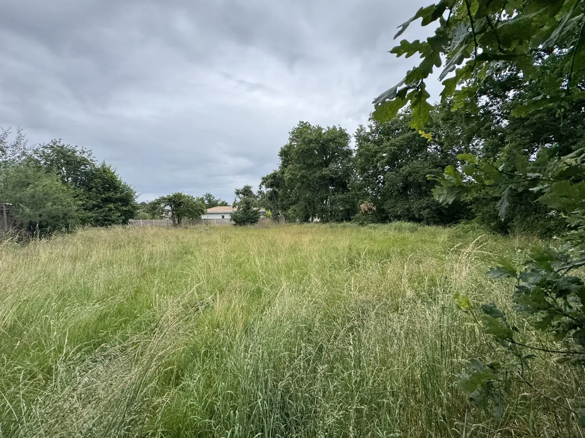 Terrain constructible de 1233 m² à Lège-Cap-Ferret avec permis accepté 