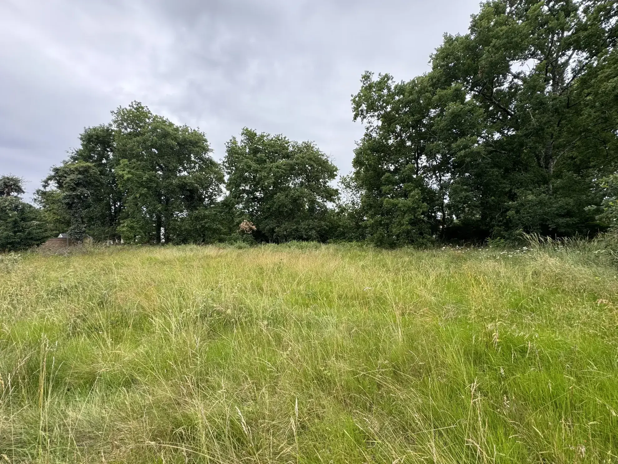 Terrain constructible de 1233 m² à Lège-Cap-Ferret avec permis accepté