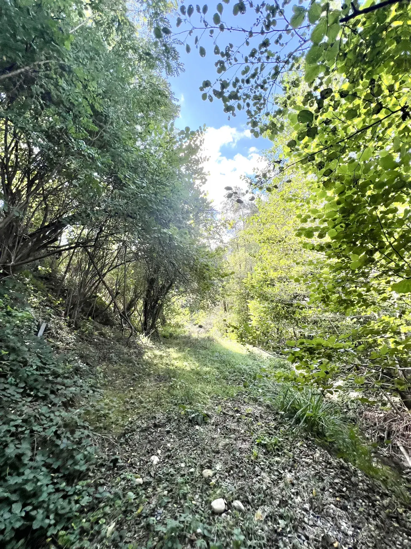 Terrain à vendre de 2990m² à Vienne avec piscine et cadre naturel exceptionnel 