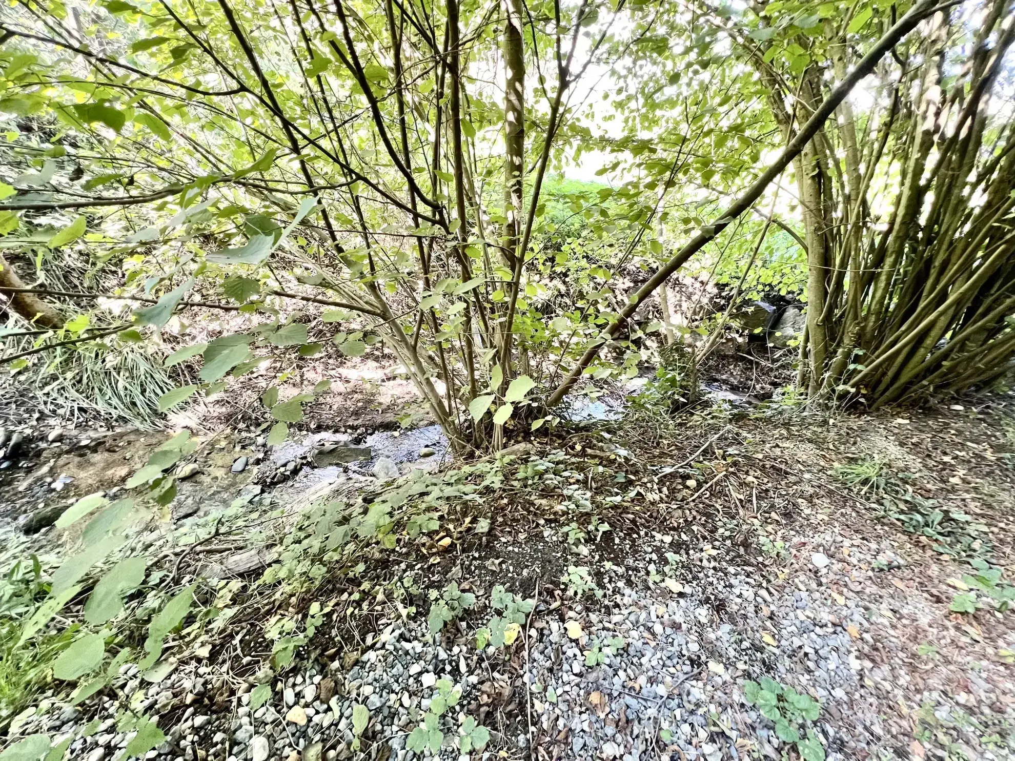 Terrain à vendre de 2990m² à Vienne avec piscine et cadre naturel exceptionnel 