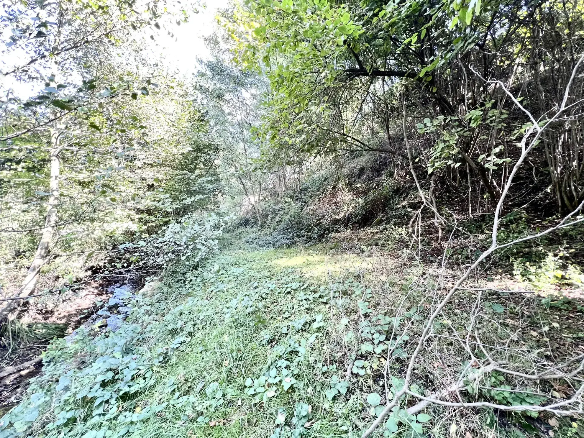 Terrain à vendre de 2990m² à Vienne avec piscine et cadre naturel exceptionnel 