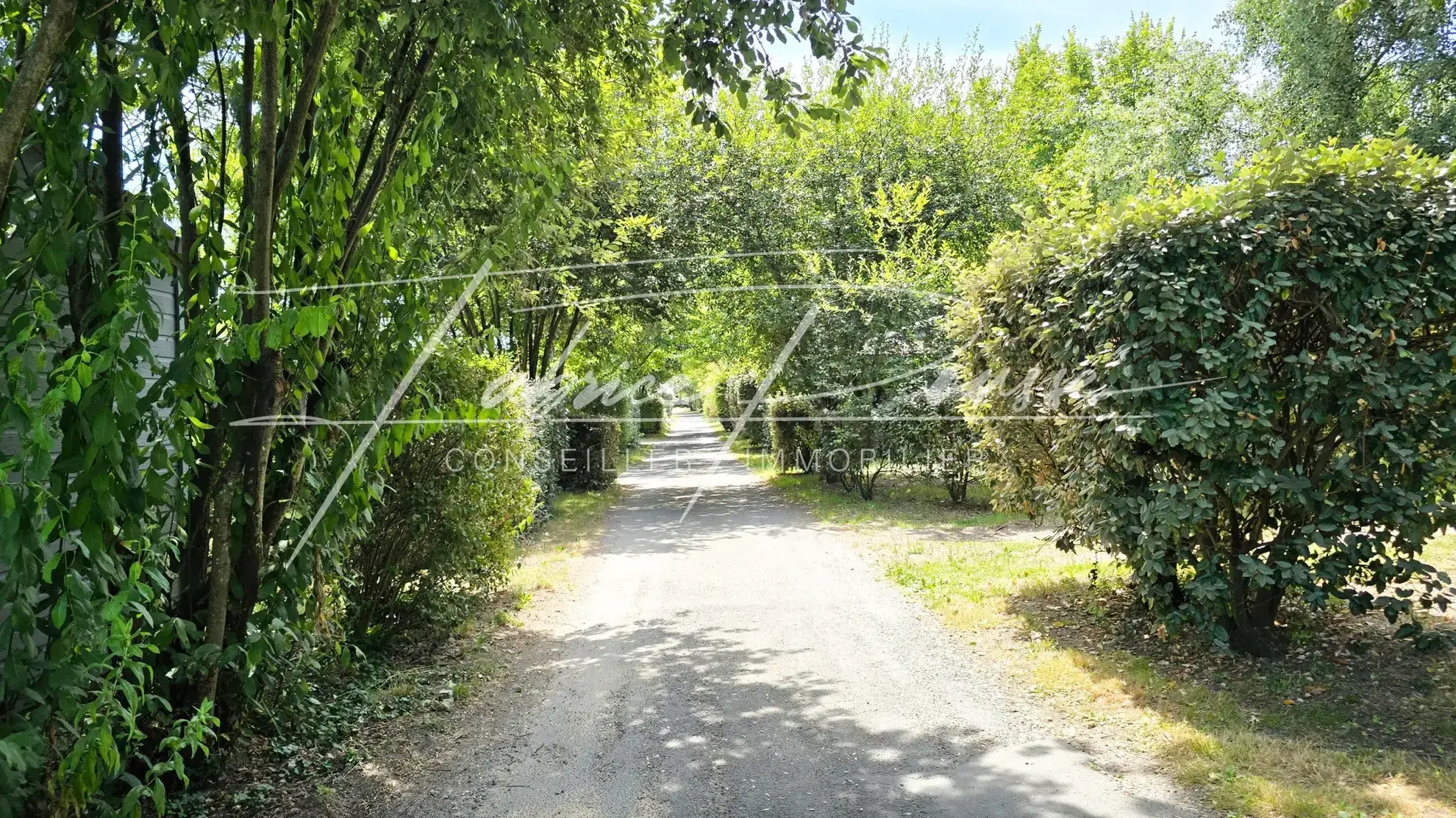 Charmant chalet en bois à Saint-Denis d’Oléron près des plages 