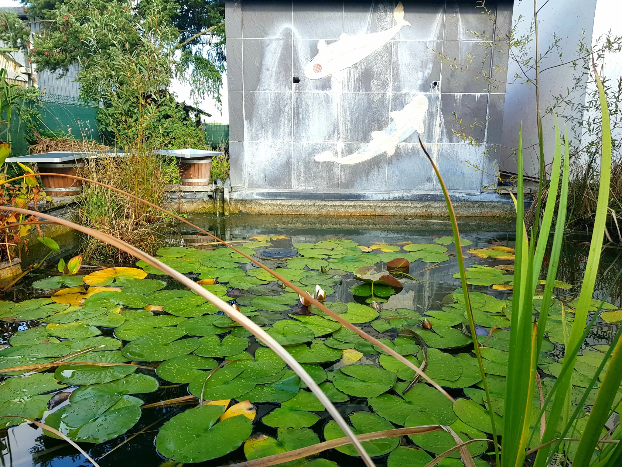 Maison individuelle de 151 m² avec terrain de 2148 m² proche Nevers 