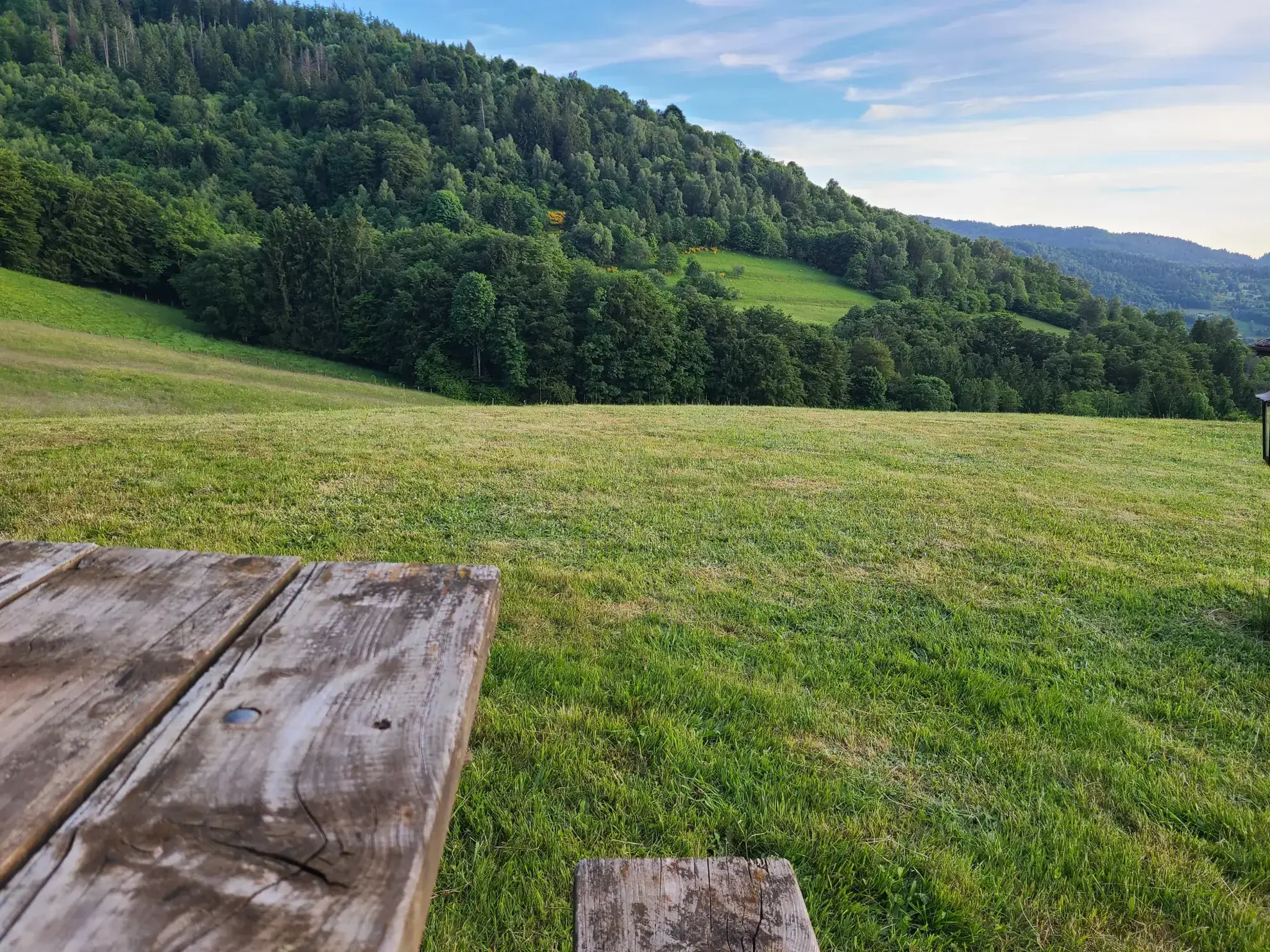 Très beau chalet dans les Vosges avec vue panoramique et 4 chambres 