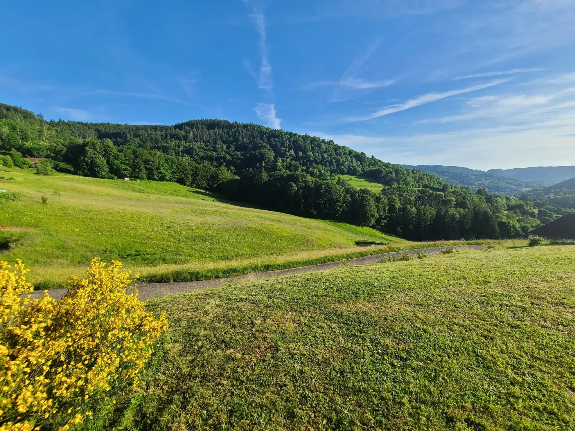 Très beau chalet dans les Vosges avec vue panoramique et 4 chambres 