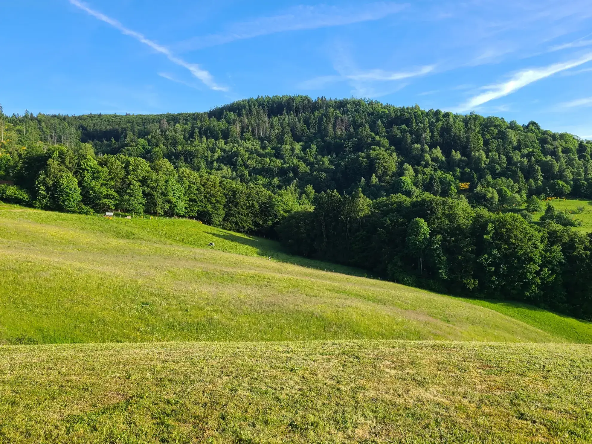 Très beau chalet dans les Vosges avec vue panoramique et 4 chambres 