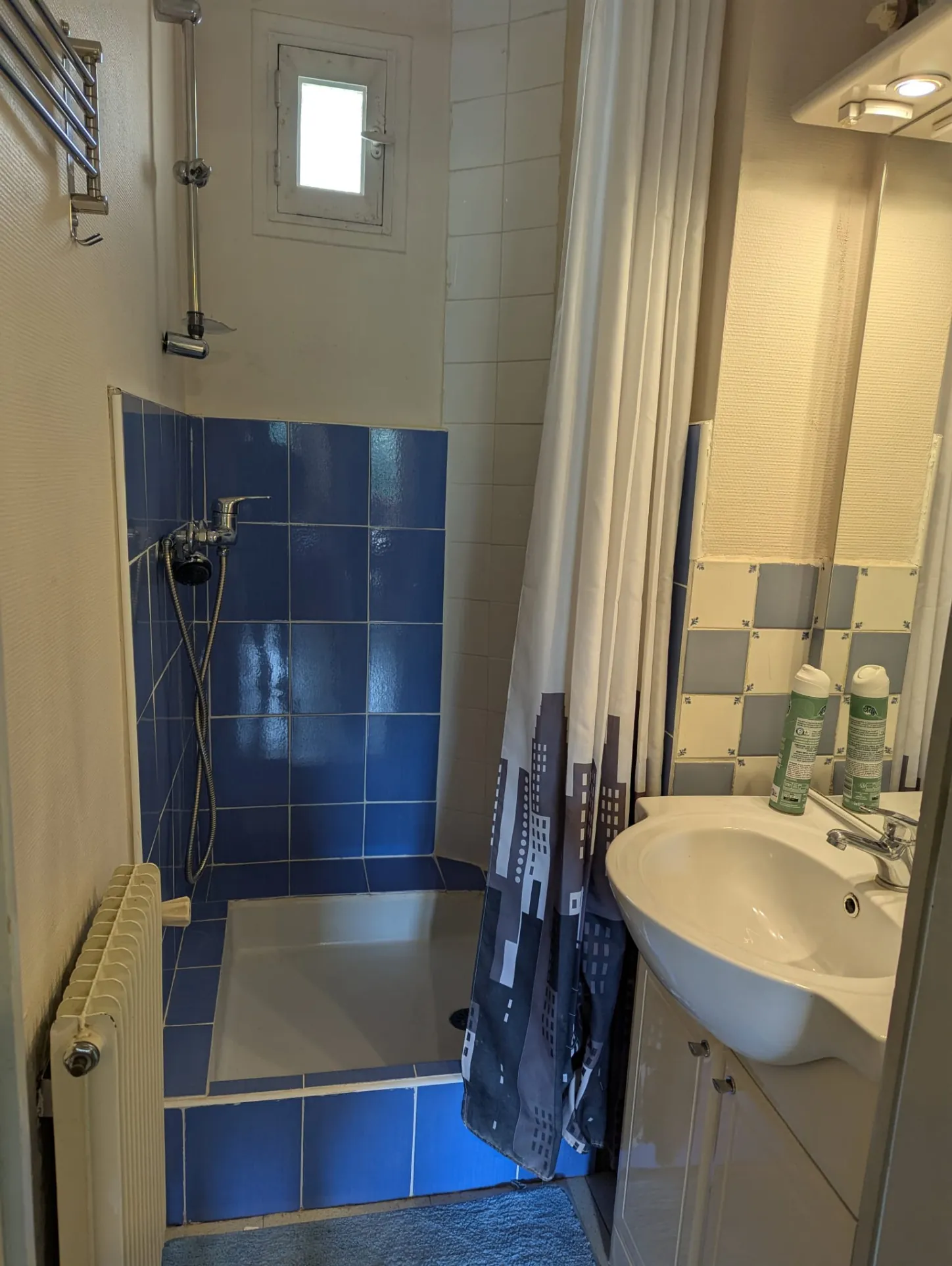 Appartement 3 pièces avec vue montagne à Grenoble, secteur en pleine transformation 