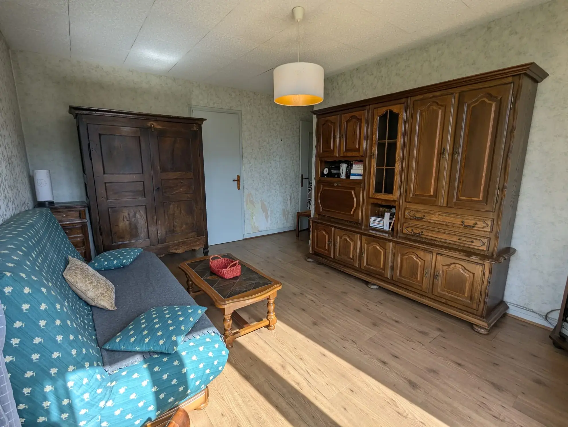 Appartement 3 pièces avec vue montagne à Grenoble, secteur en pleine transformation 