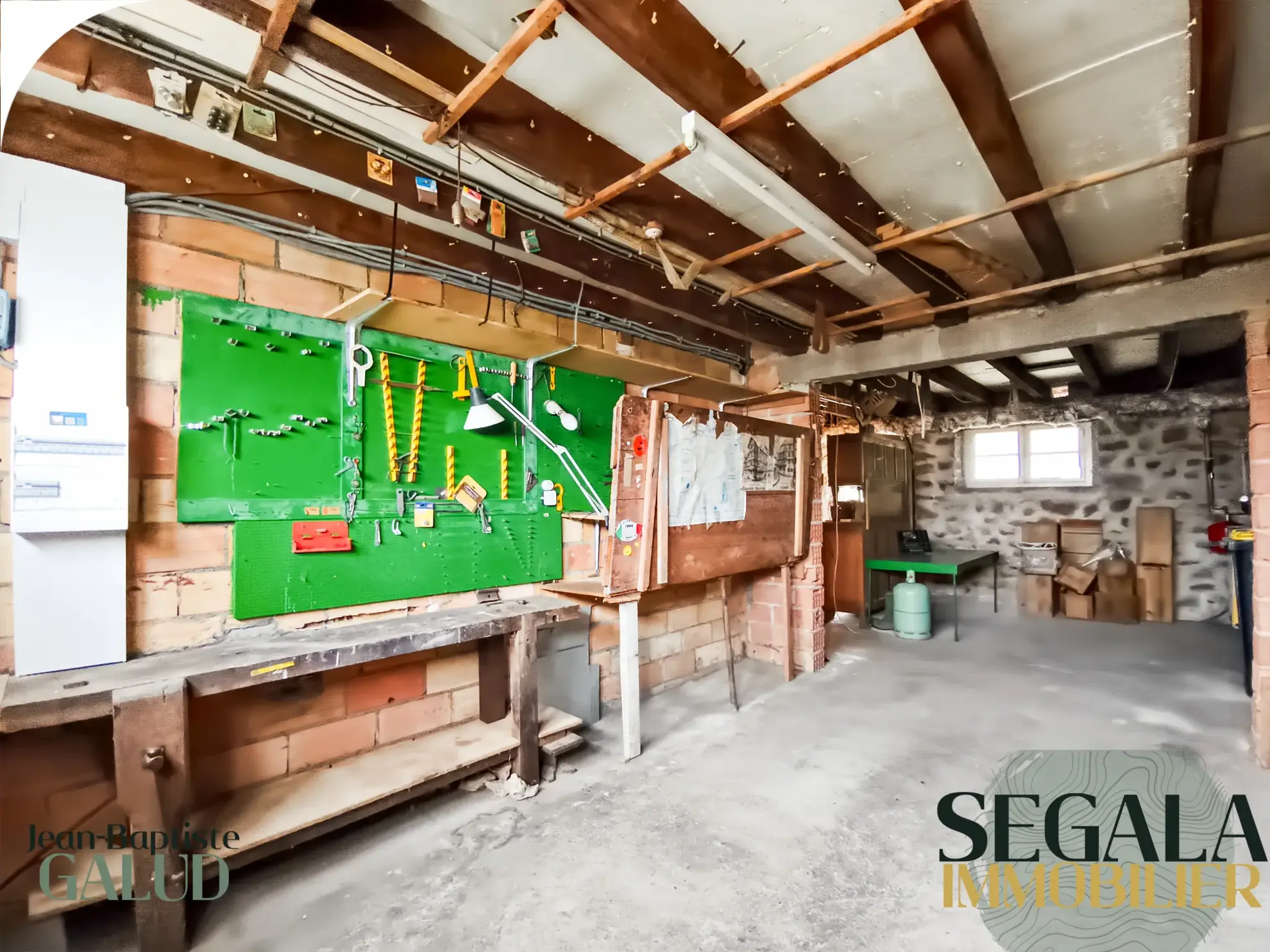 Maison en pierre à Carmaux avec grand potentiel et jardin arboré 