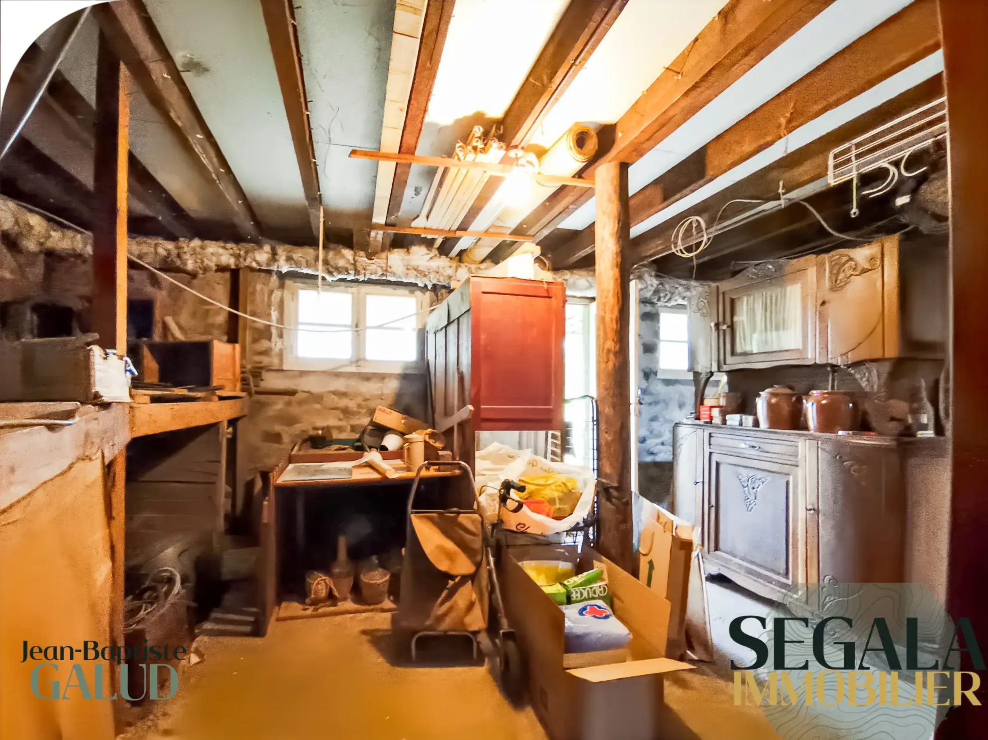 Maison en pierre à Carmaux avec grand potentiel et jardin arboré 