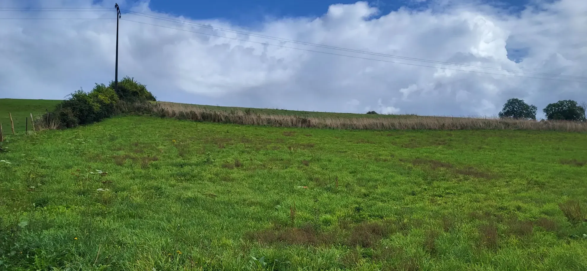 Terrain constructible à Torcy-le-Petit de 5118 m² en environnement rural calme 