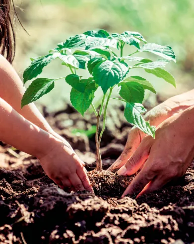 Appartement 4 pièces neuf à La Courneuve – TVA réduite, livraison 2026 