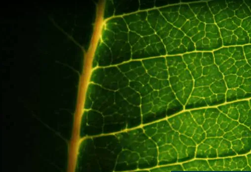 Appartement 3 pièces neuf avec grand balcon à Gap - Livraison 2027 