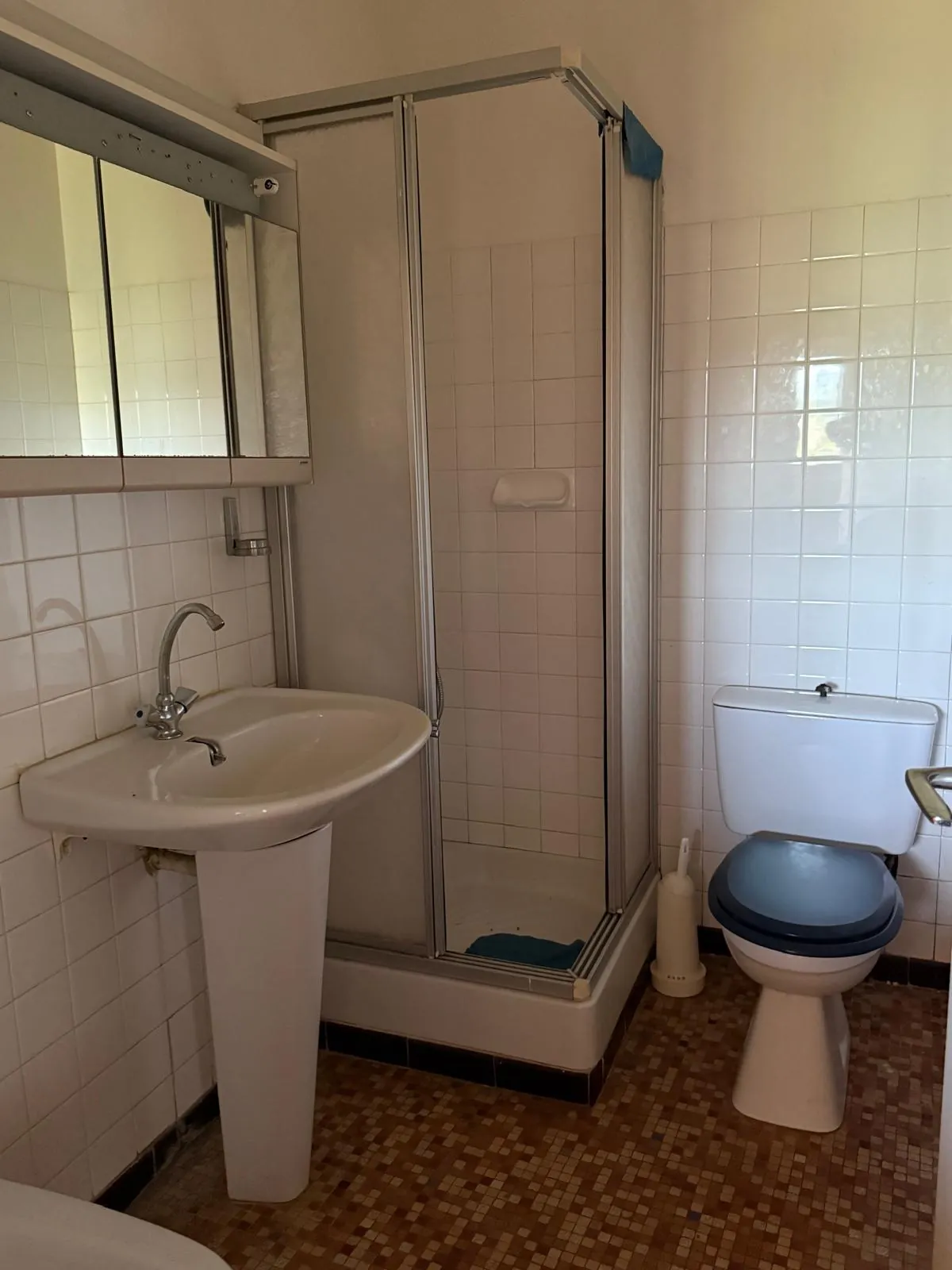 Maison de village en pierres avec deux appartements, jardin à Lanas 