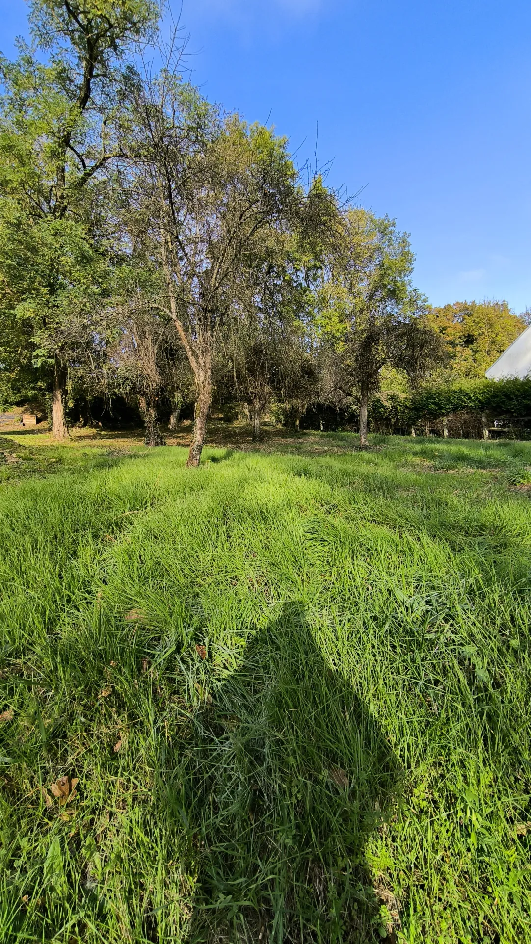 Terrain à bâtir de 731 m² à Château-Thierry, quartier recherché 
