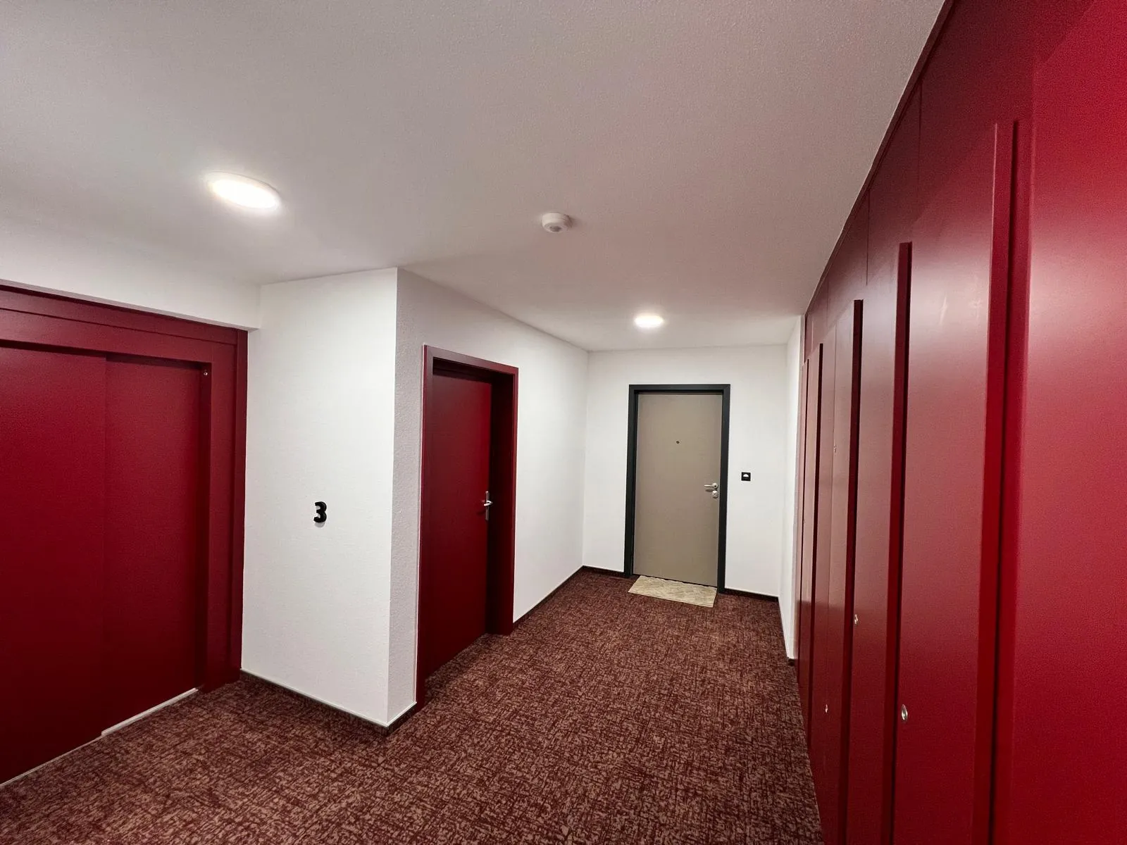 Appartement T3 neuf avec terrasse et garage à St-Louis 