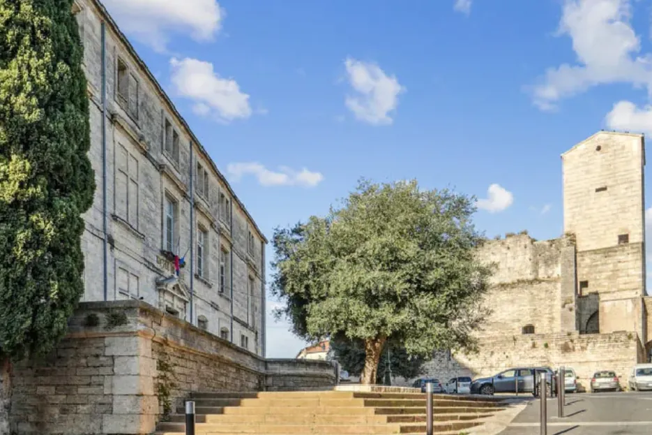 Appartement 3 pièces à rénover à Saint Georges d'Orques - Terrasse et parking