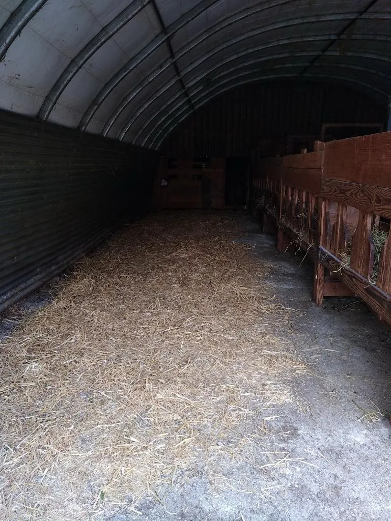 Vente ancien verger de châtaigniers à Les Vans dans un cadre naturel préservé 