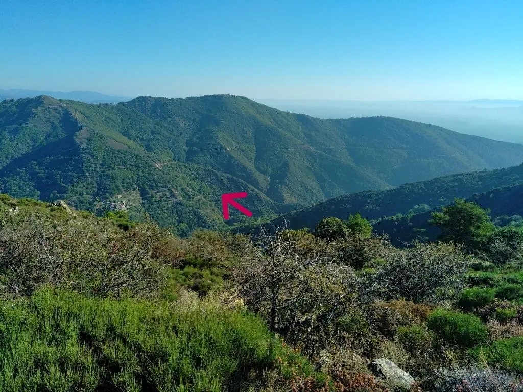 Vente ancien verger de châtaigniers à Les Vans dans un cadre naturel préservé 