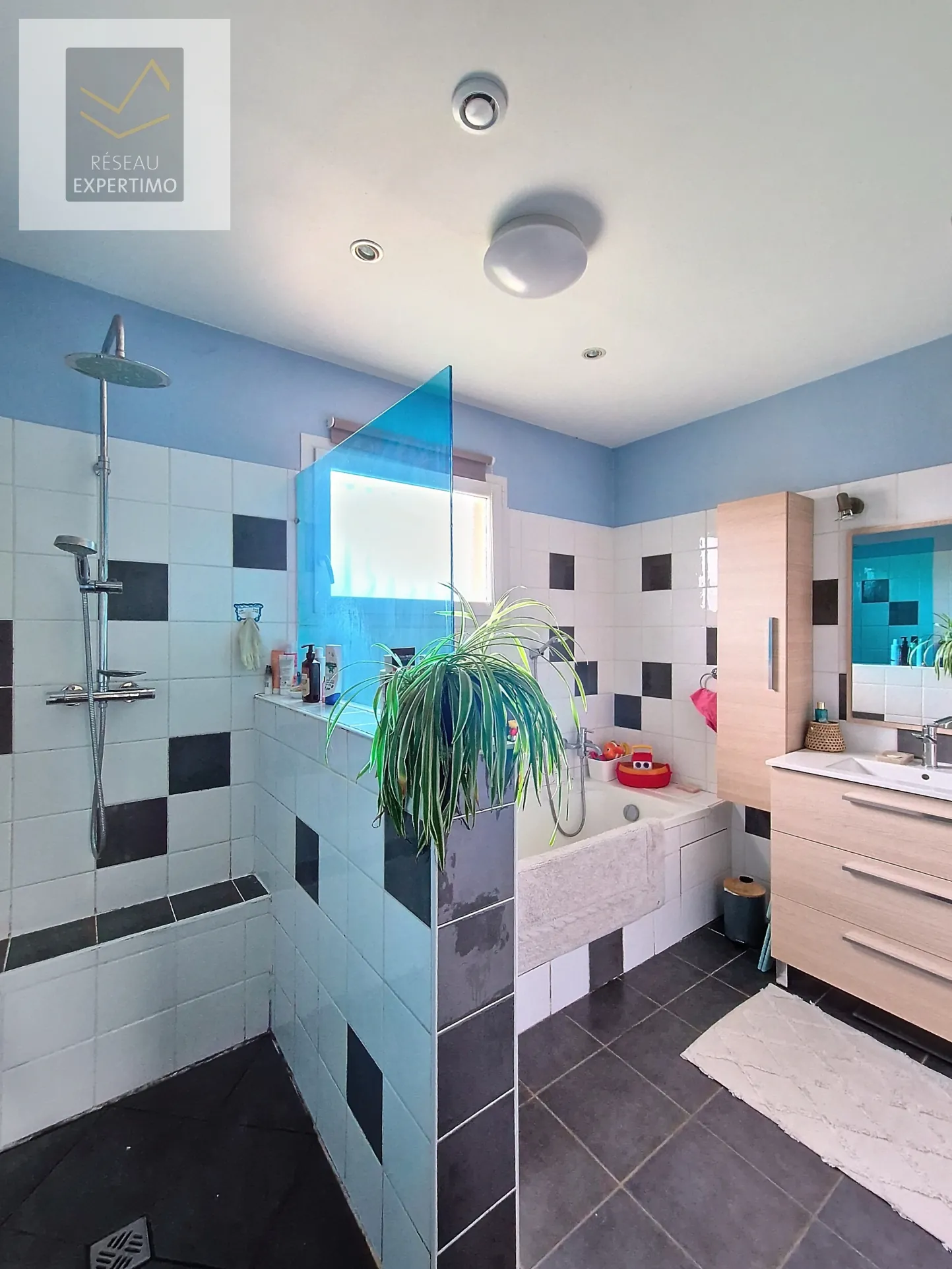 Très belle maison de plain-pied avec grand terrain près de Blagnac 