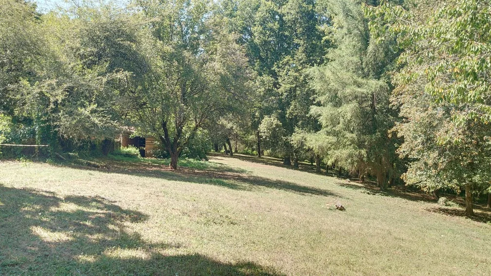 Authentique maison lotoise de 135 m² avec grange sur 2 hectares à Montcabrier 