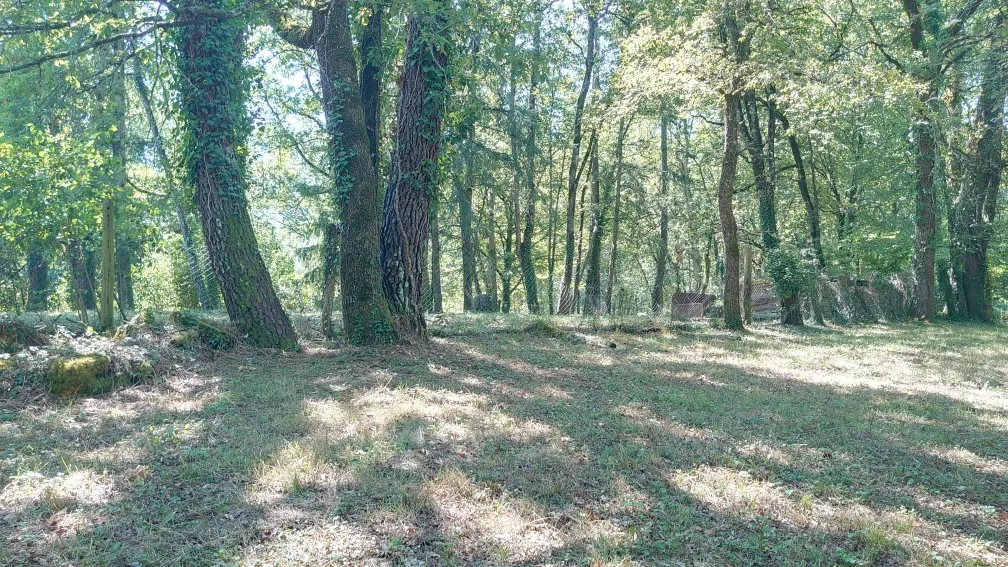 Authentique maison lotoise de 135 m² avec grange sur 2 hectares à Montcabrier 