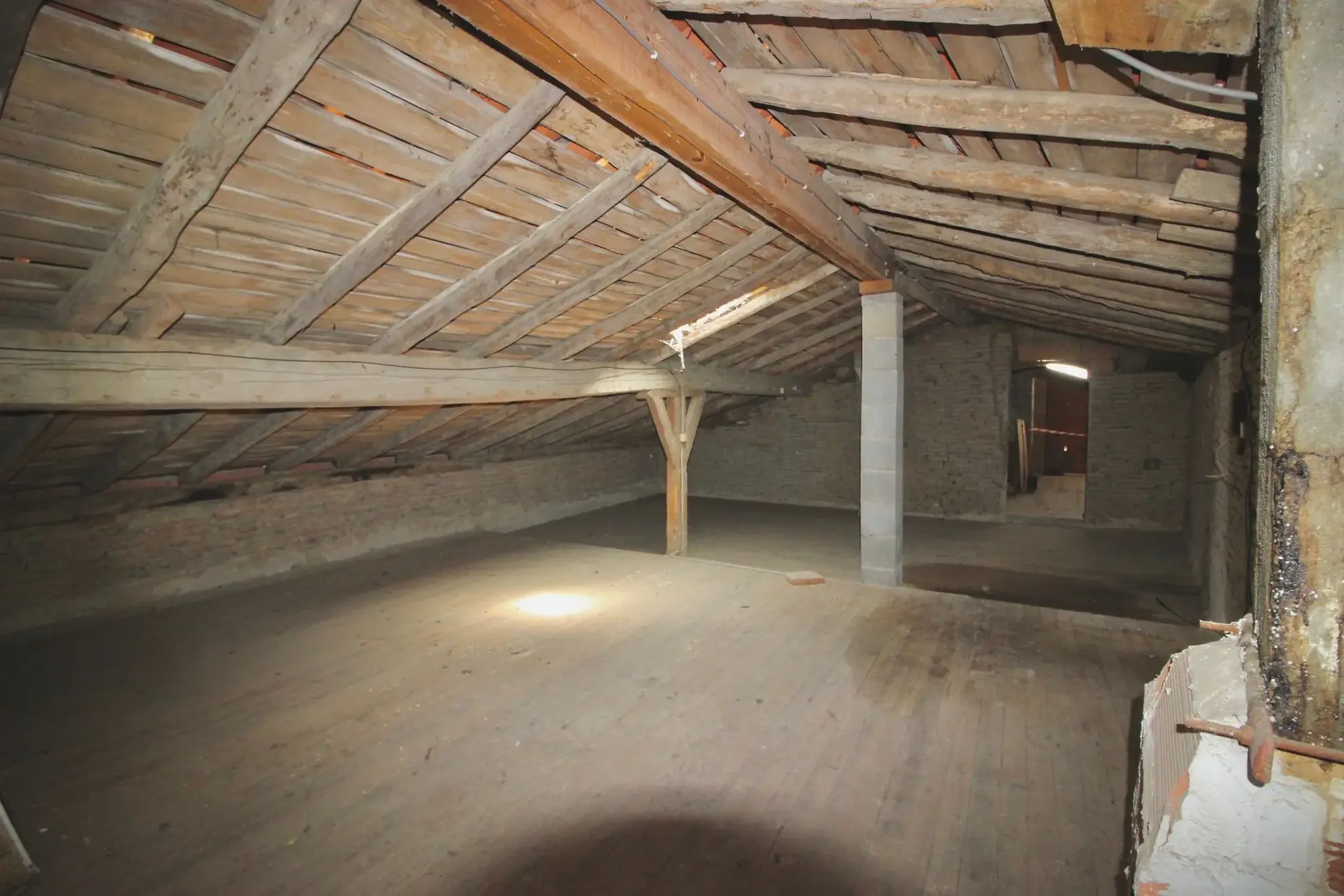 ferme ancienne à Montech avec 3 chambres et grand terrain de 18034m² 