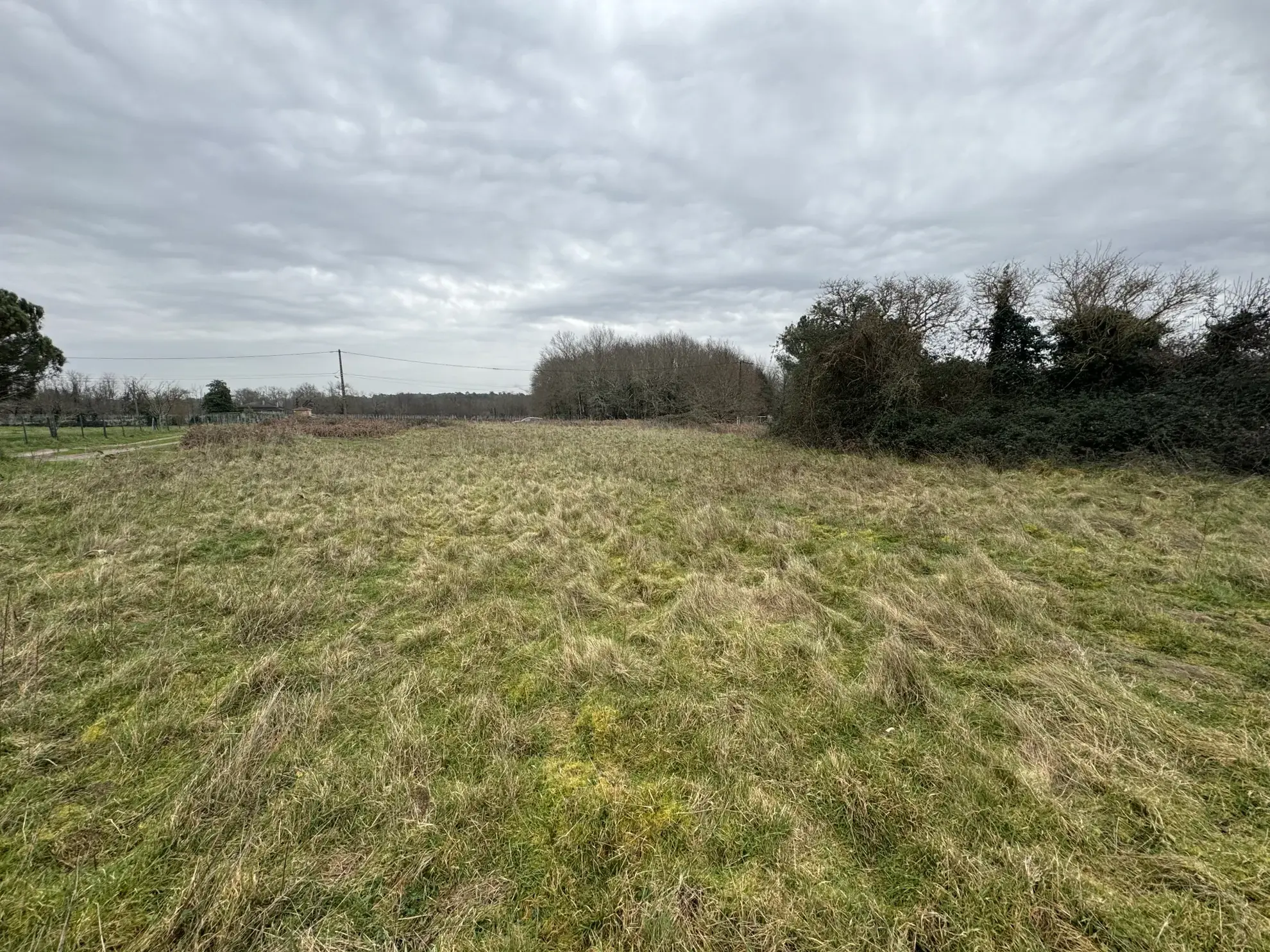Terrain constructible de 5280 m² à Saint-Aubin-de-Blaye - Opportunité à saisir