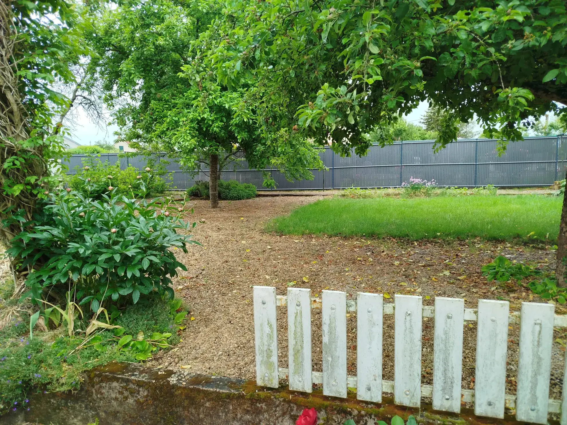 Maison à vendre à Le Pailly (52600) avec sous-sol, garage et terrain arboré 