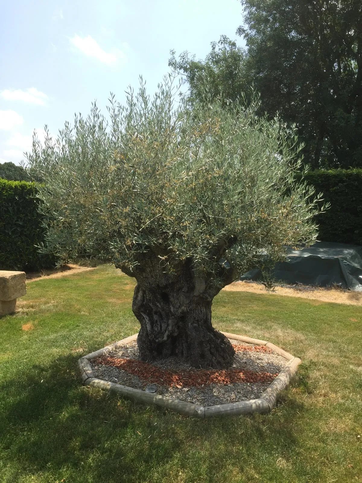 Maison à vendre avec piscine et grand terrain à Digoin, 89 m² 