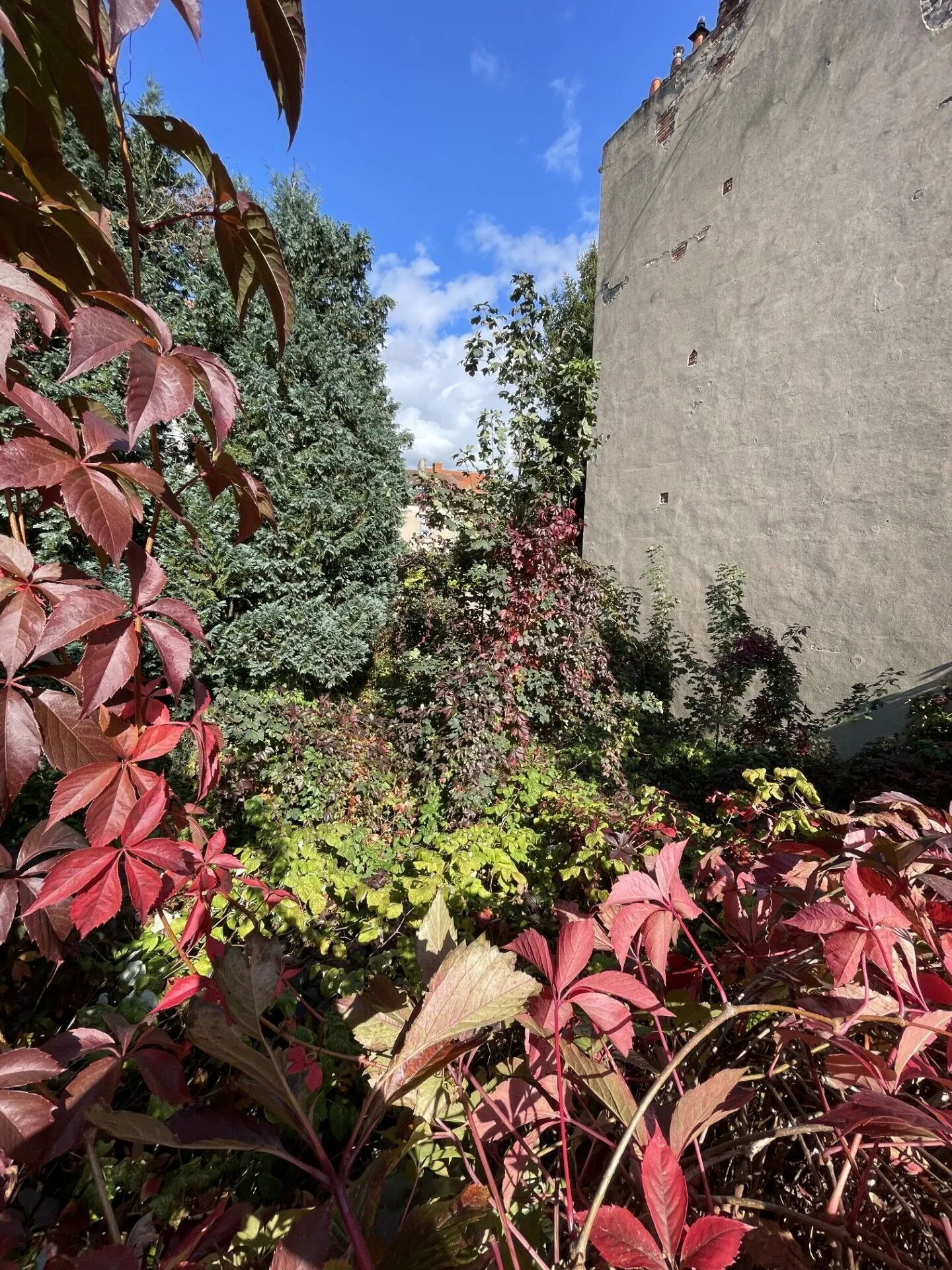 Terrain constructible de 261 m² à Vichy, idéal pour promouvoir 