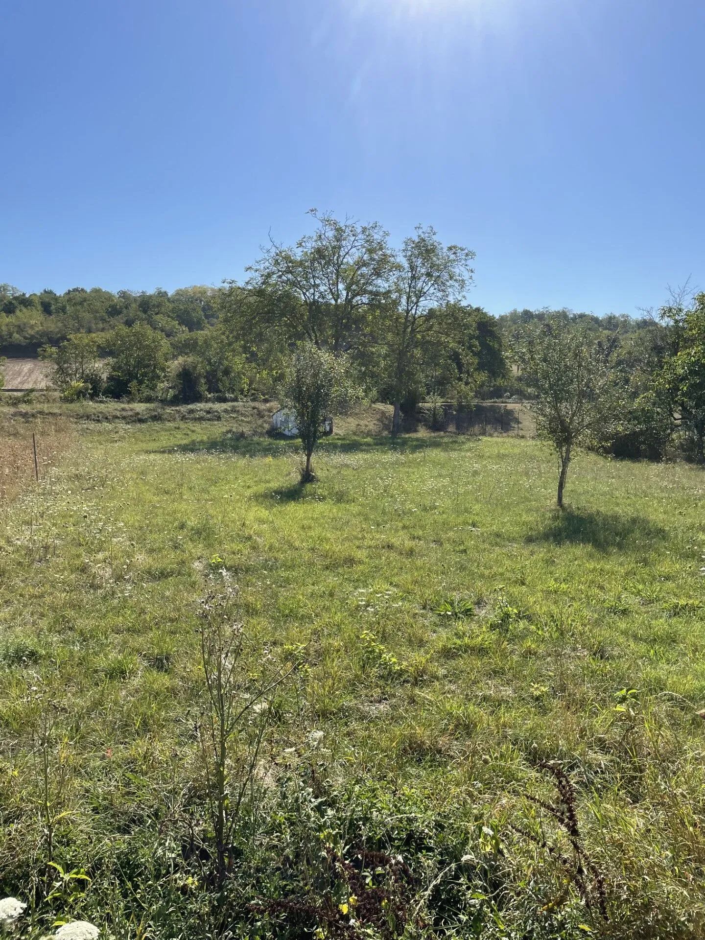 Terrain à bâtir de 1635 m² à Créchy, proche Vichy - Viabilités disponibles 