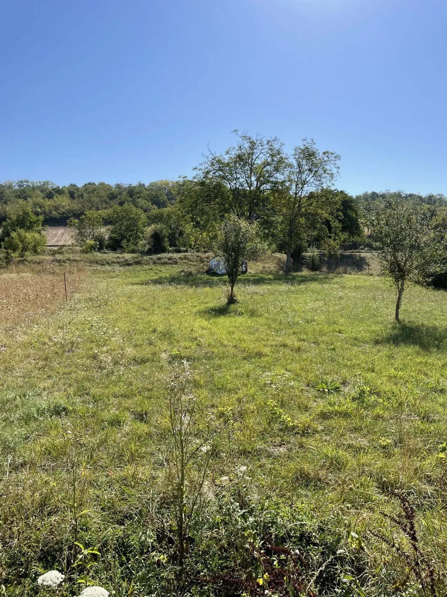 Terrain constructible de 1635 m² à Créchy près de Vichy 
