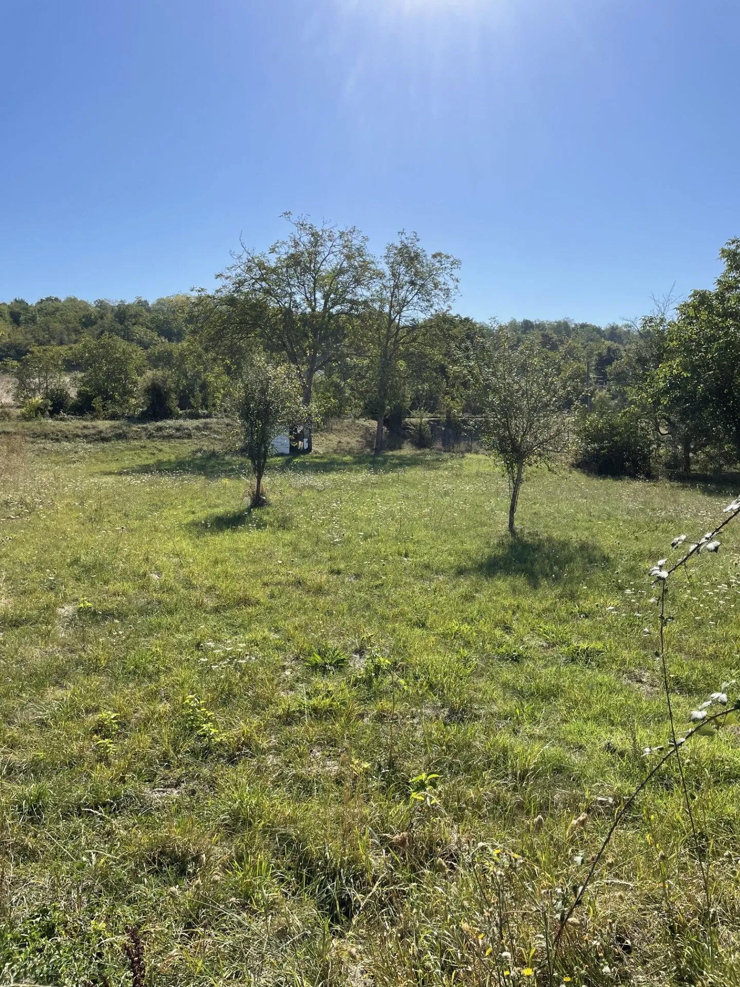 Terrain constructible de 1635 m² à Créchy près de Vichy 