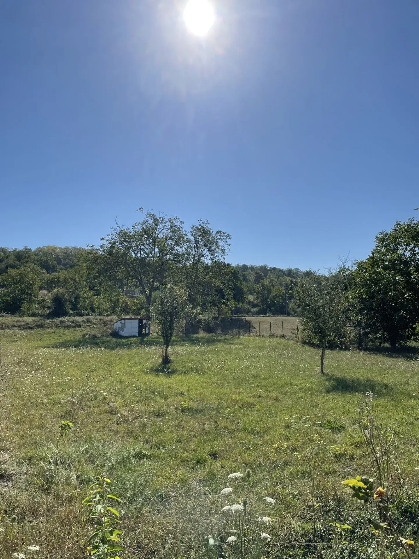 Terrain à bâtir de 1635 m² à Créchy près de Vichy à vendre 