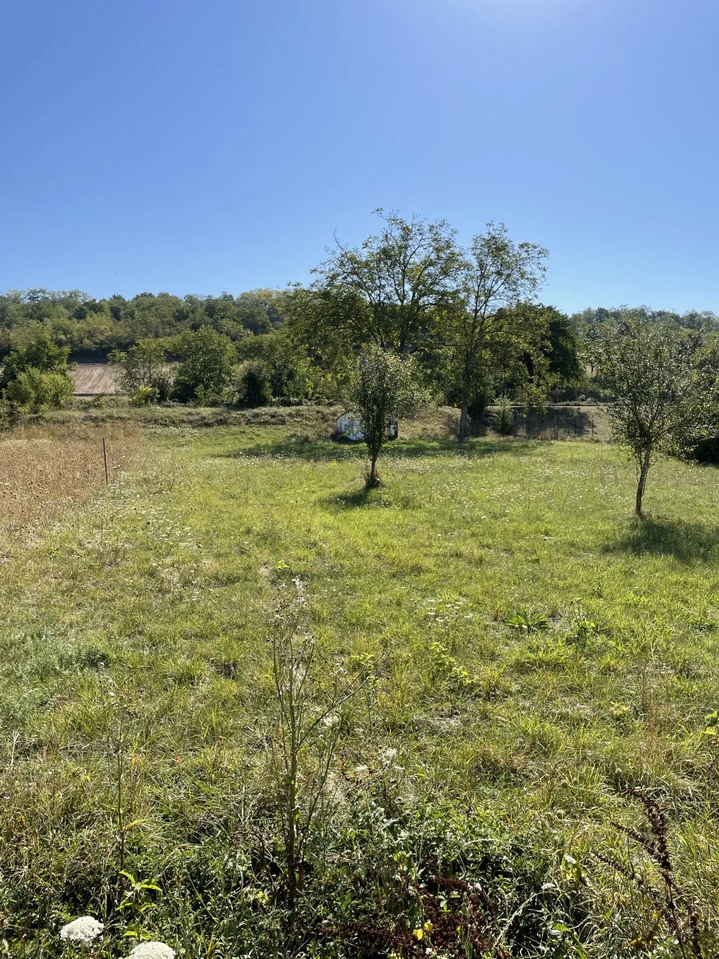 Terrain constructible de 1635 m² à Créchy, proche Vichy, viabilités en bordure 
