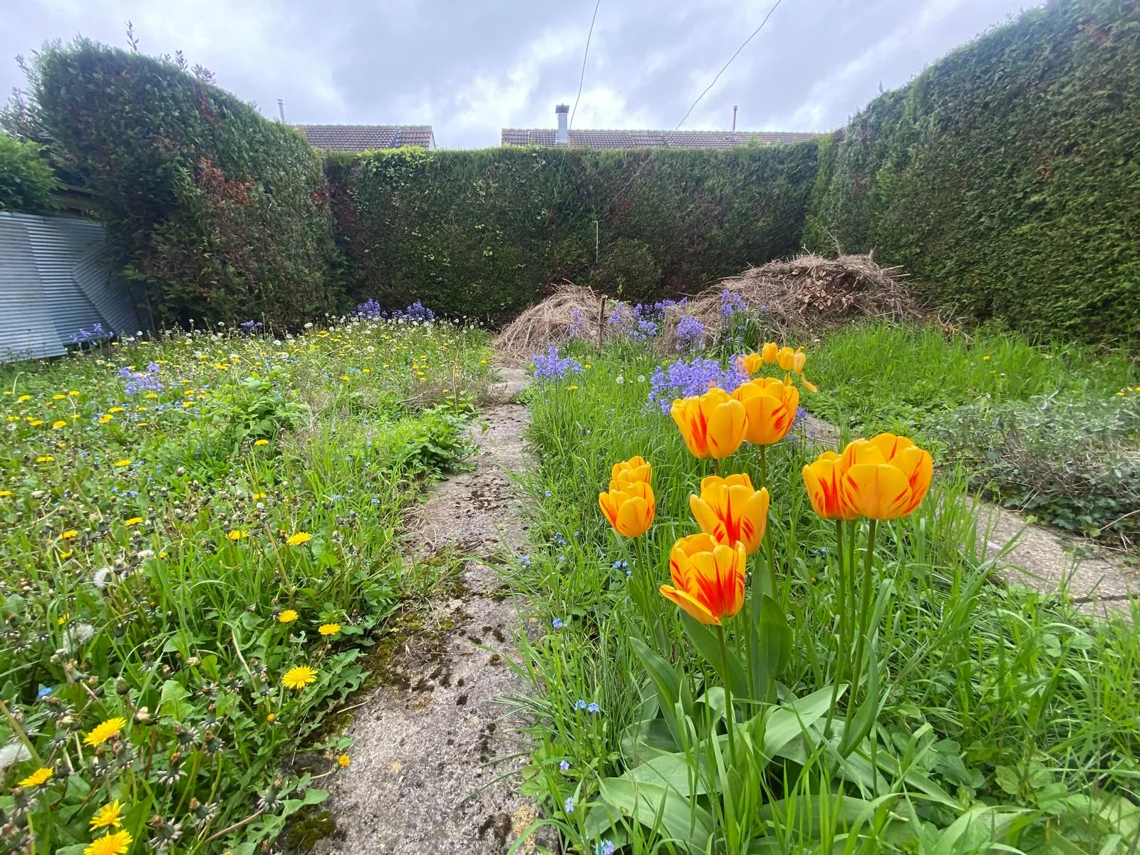 Maison à vendre à Moreuil (80) avec jardin, garage et 3 chambres 