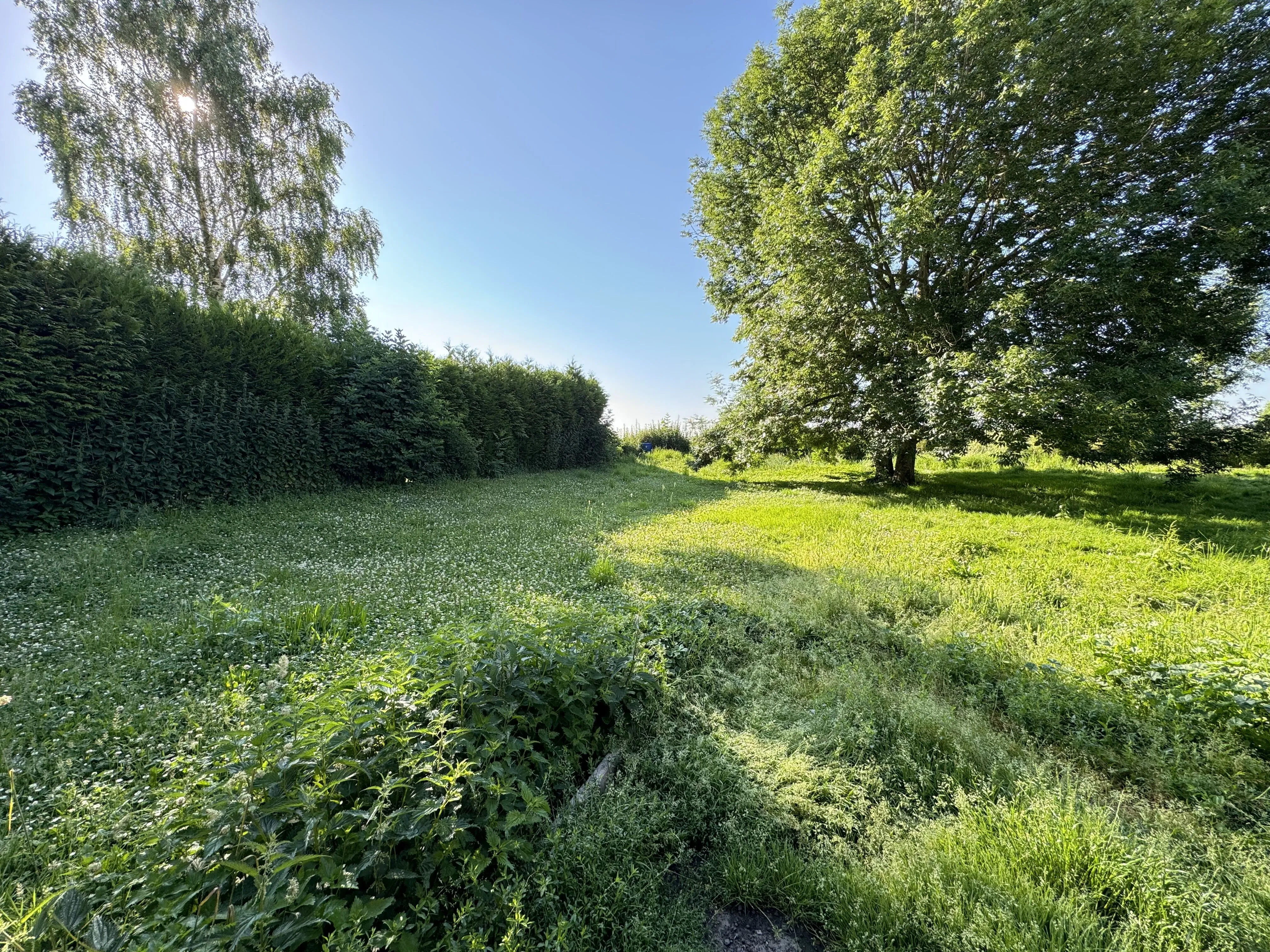 Maison de village à rénover proche d'Amiens et Roye à Erches 