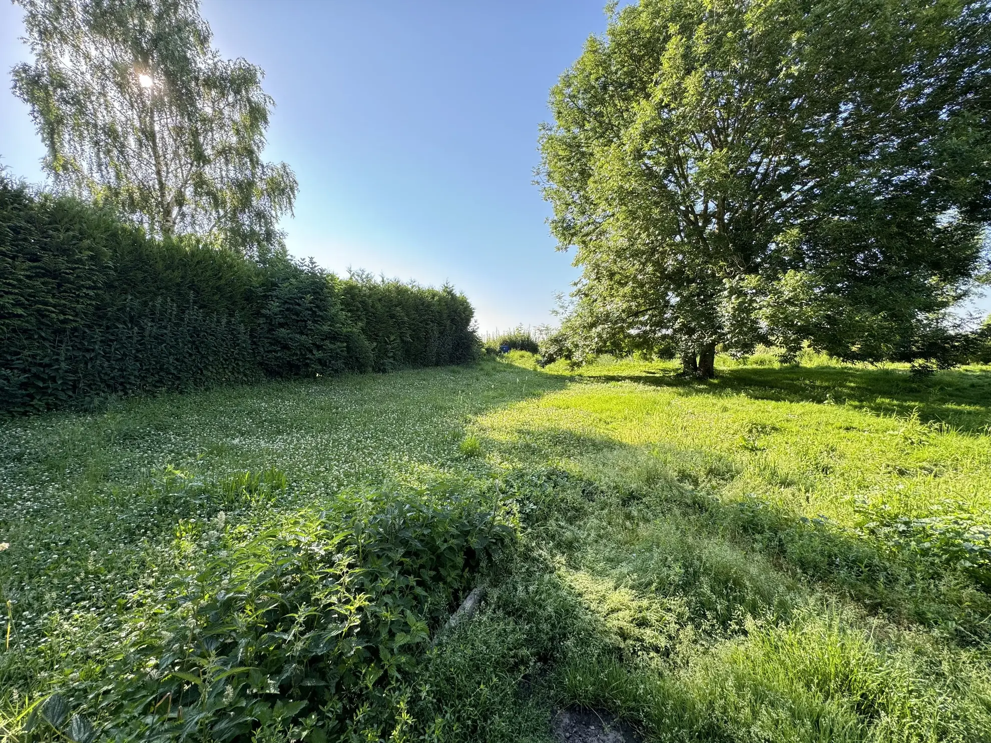 Maison de village à rénover à Erches – Jardin et grange avec potentiel 