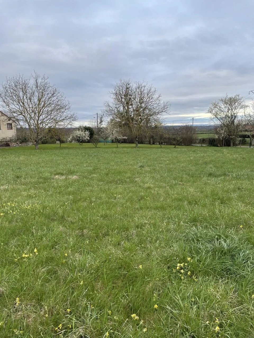 Terrains constructibles en centre-ville de Biozat près de Vichy et Riom 