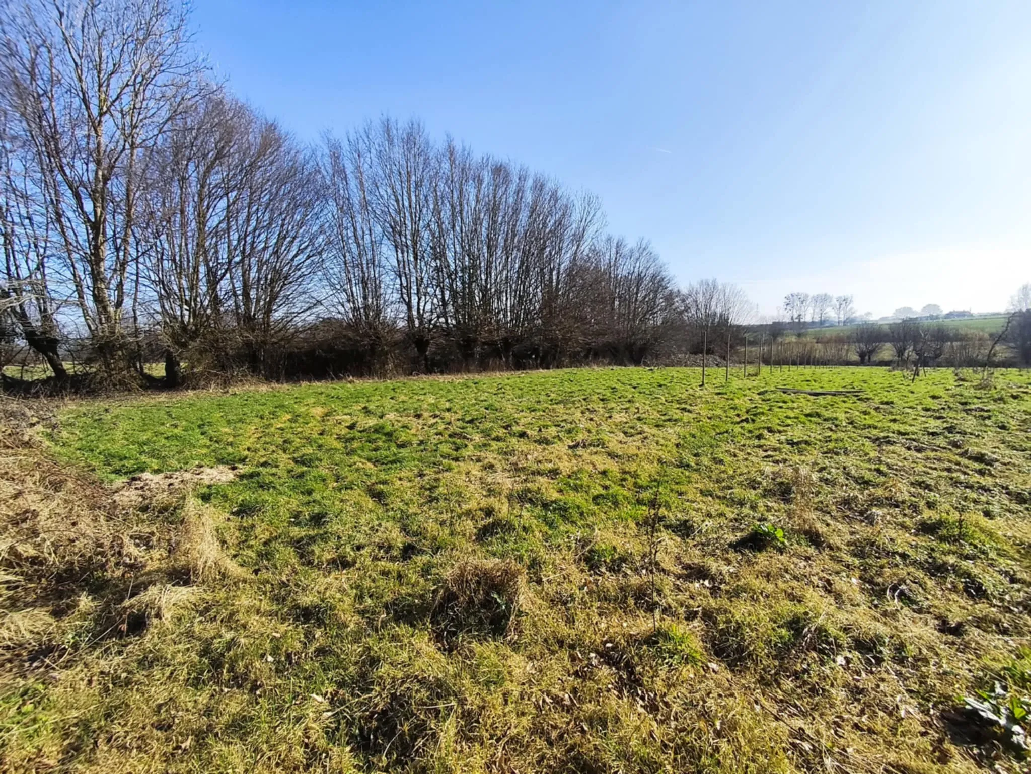 Terrain constructible de 12 000 m² à Hargnies proche forêt de Mormal