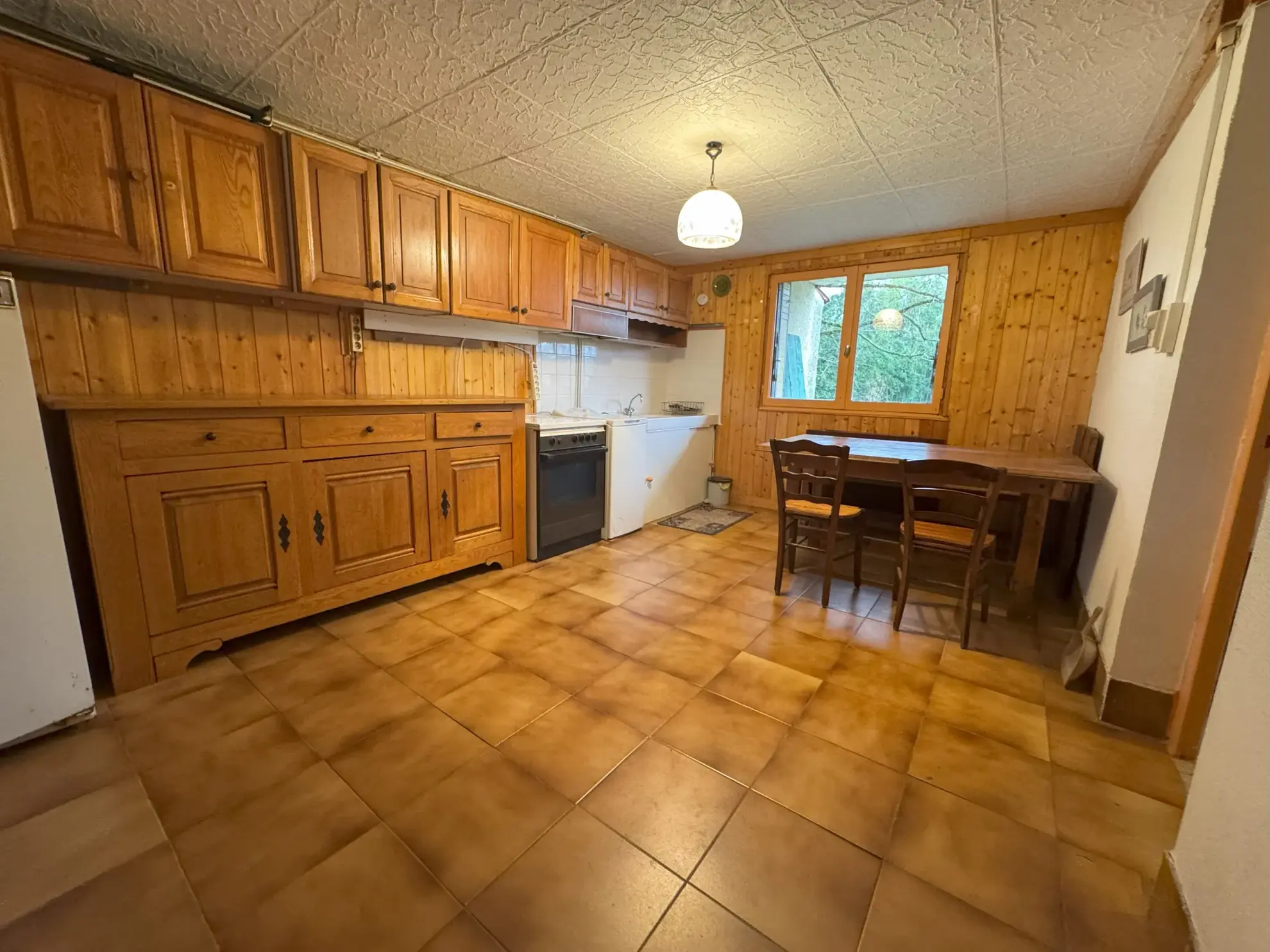 Maison familiale de 123 m² avec grand terrain à Chavanoz 