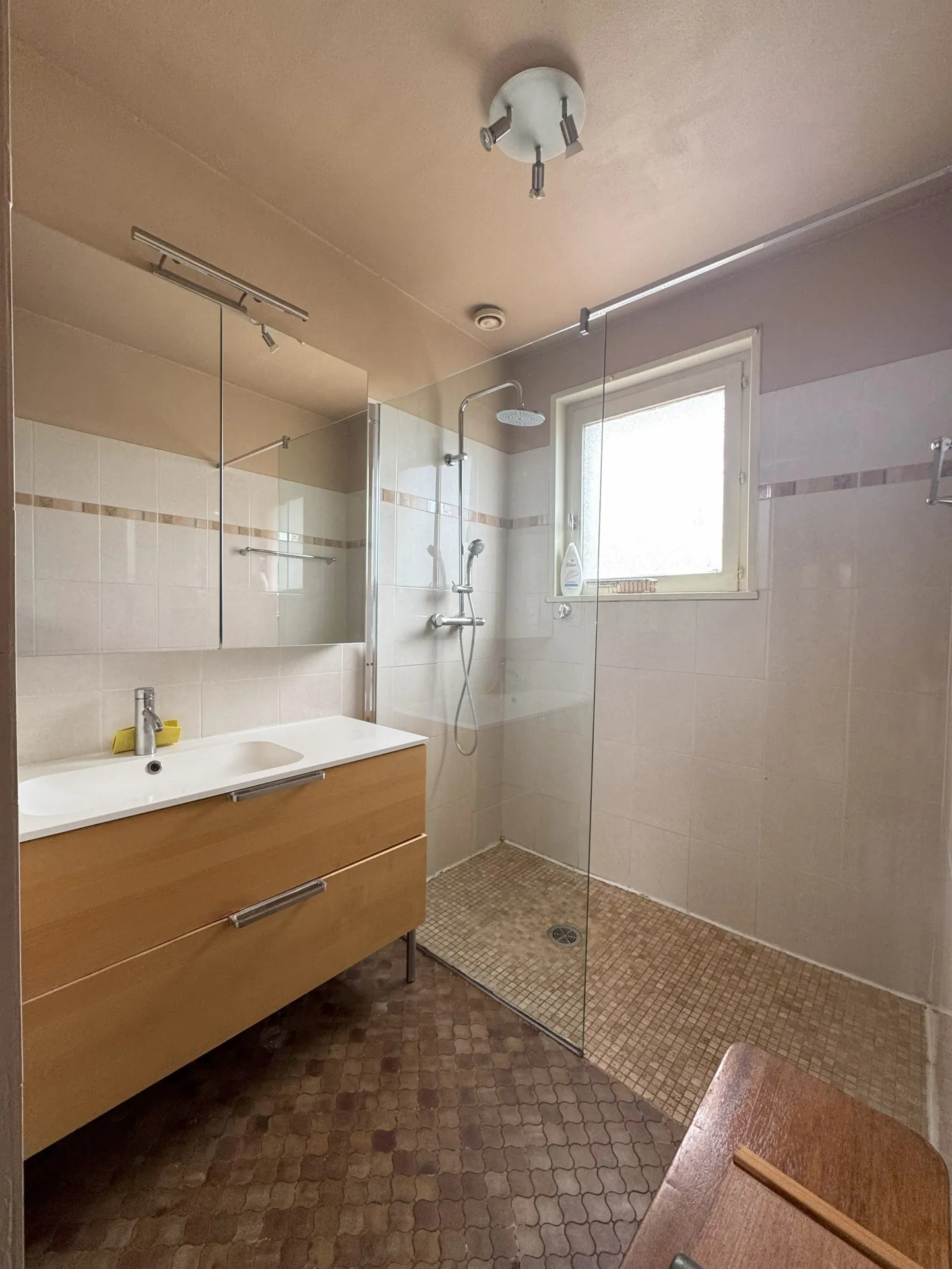 Maison familiale de 123 m² avec grand terrain à Chavanoz 