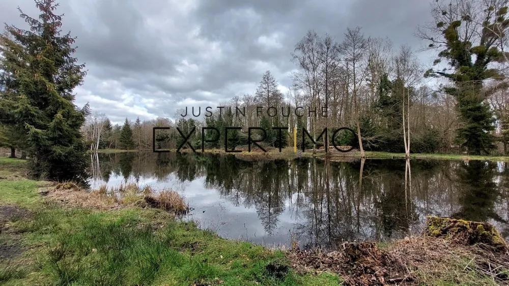 Terrain de loisir de 20 947 m² à Lombron avec étang, eau et électricité 