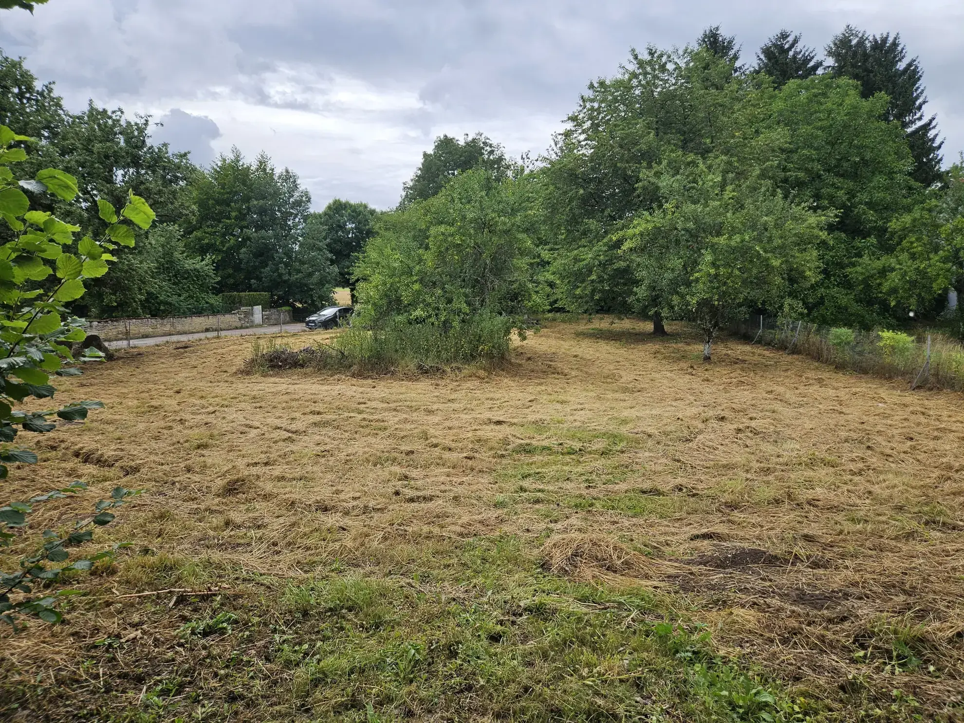 Corps de ferme à rénover avec terrain et dépendances à Rachecourt-suzémont (2742 m²) 