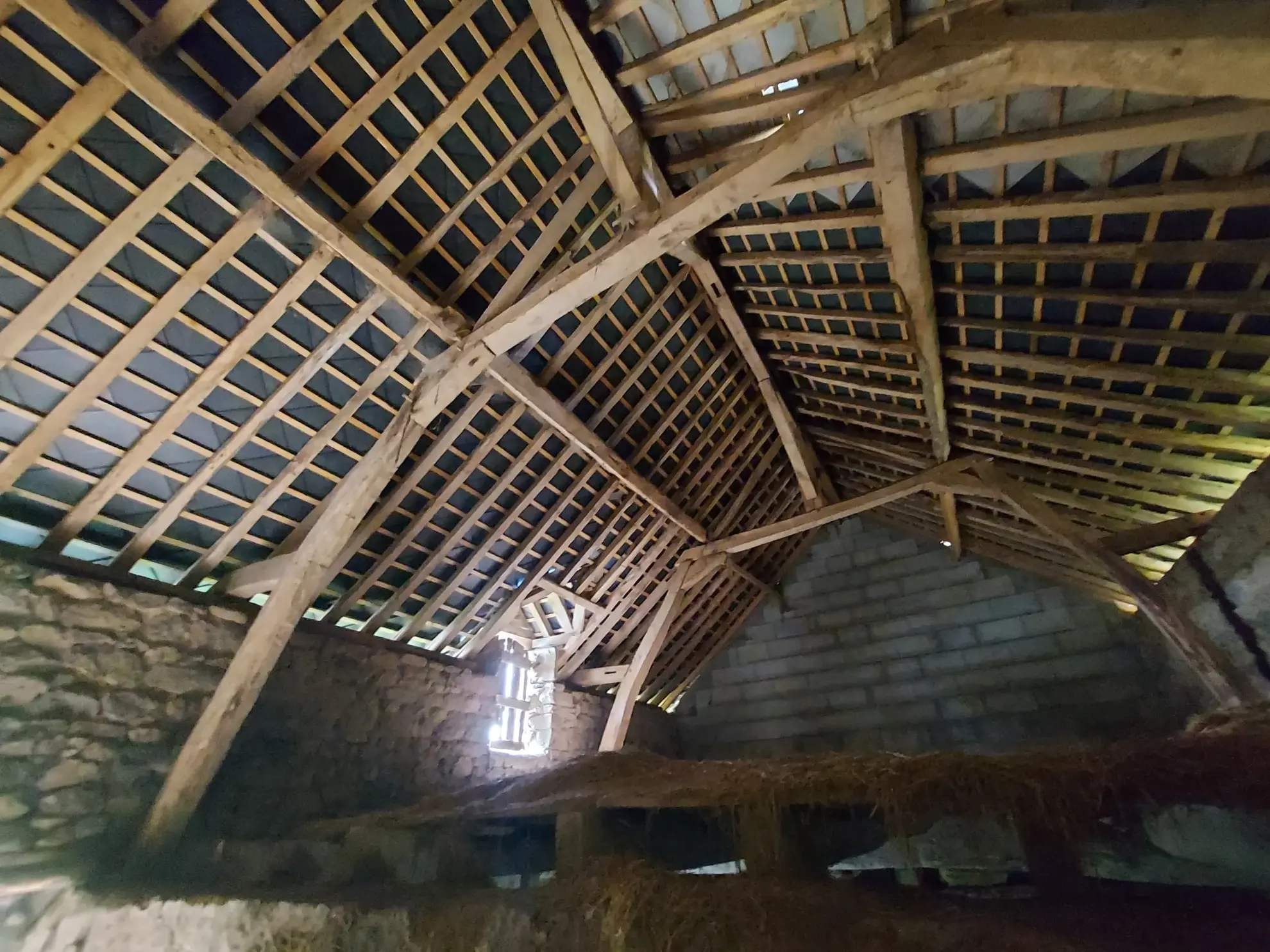 Grande maison avec dépendances, verger et espace naturel à Grazay 