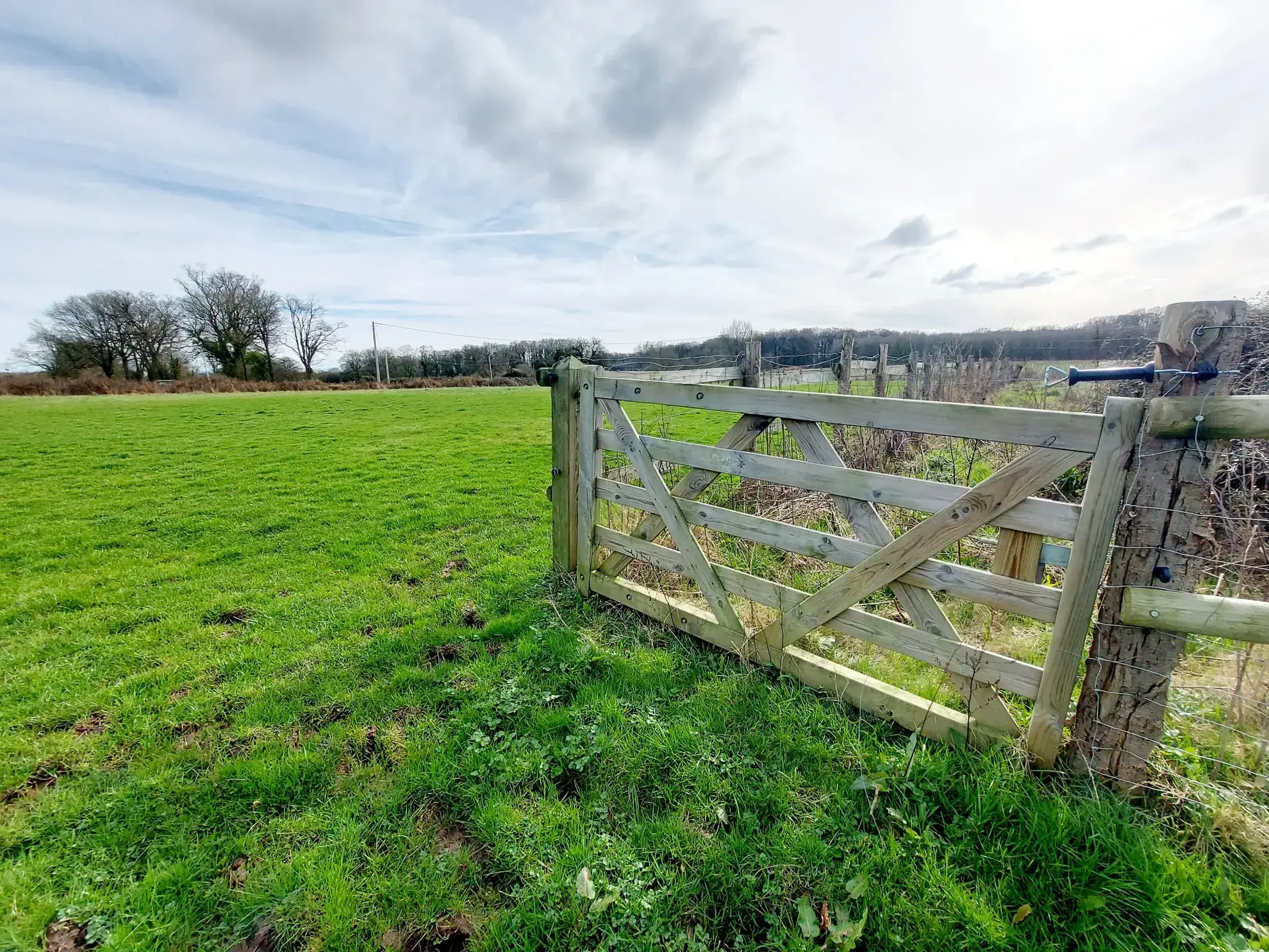 Grande maison avec dépendances, verger et espace naturel à Grazay 