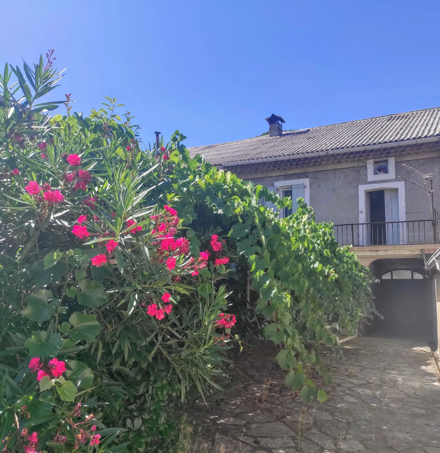 Ensemble immobilier mixte de 270 m² à Bessèges avec potentiel d’investissement 