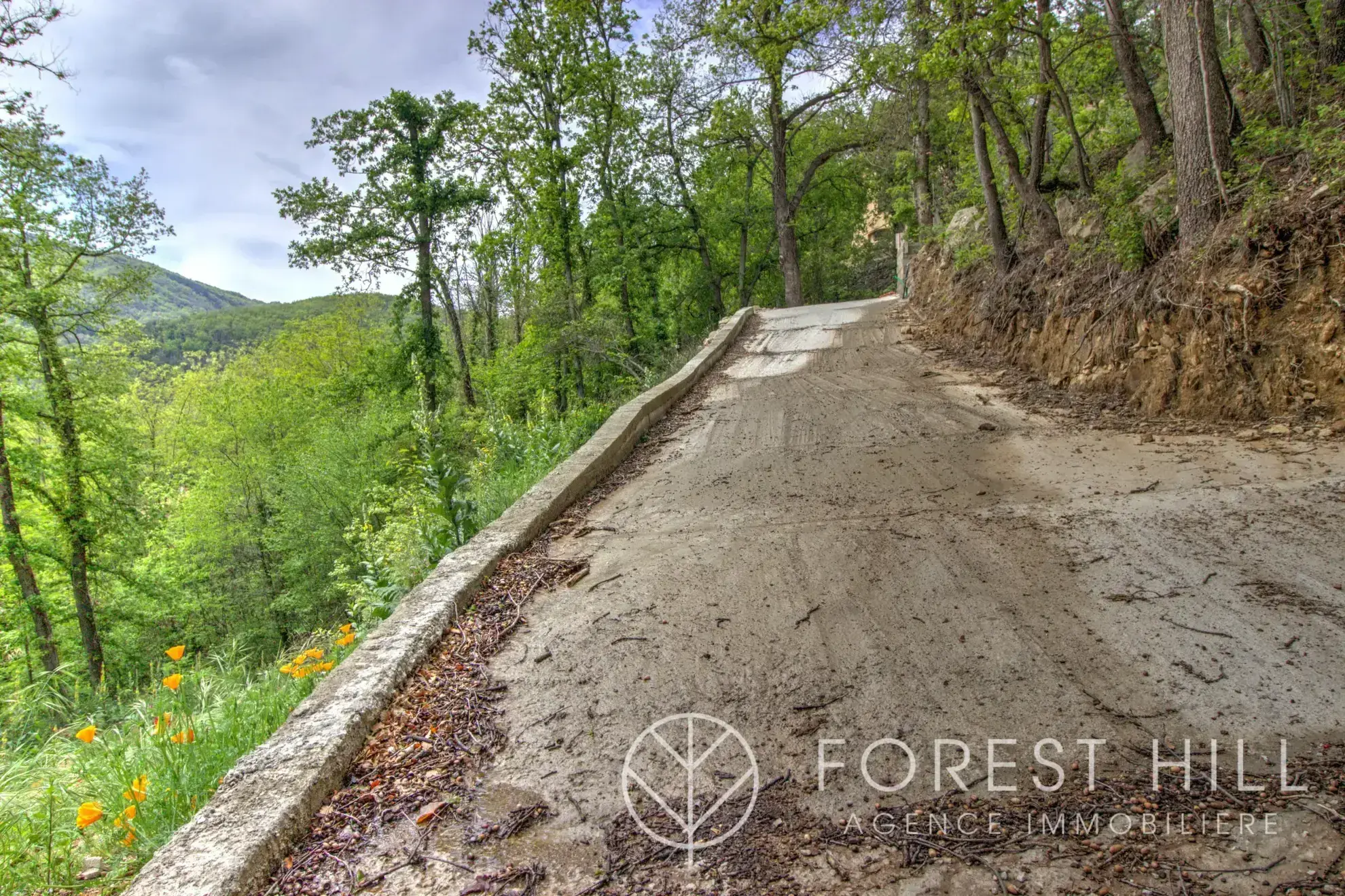 Terrain constructible de 2332 m² à Las Illas, vue montagne, proximité Maureillas-Las-Illas 