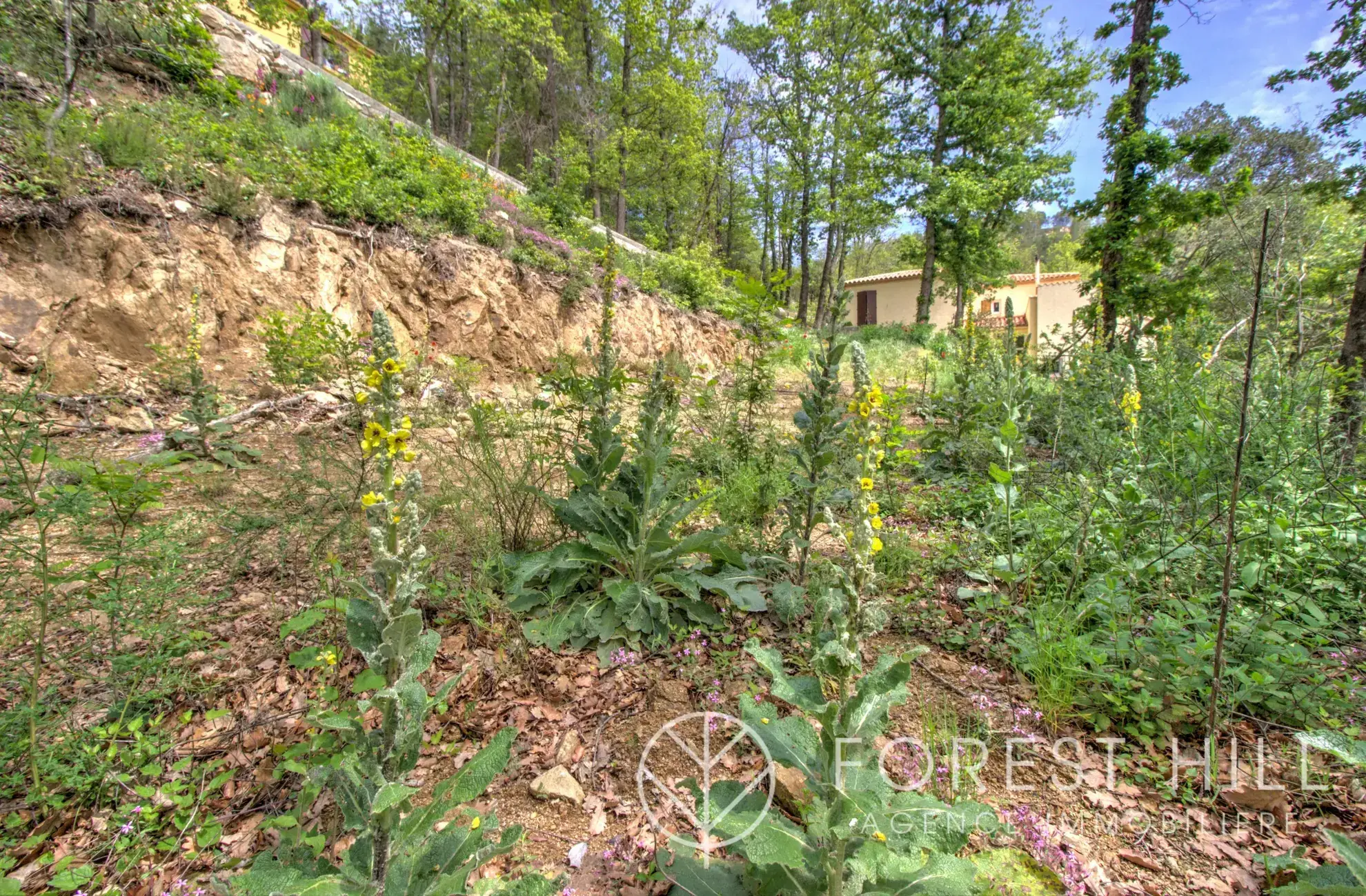 Terrain constructible de 2332 m² à Las Illas, vue montagne, proximité Maureillas-Las-Illas 